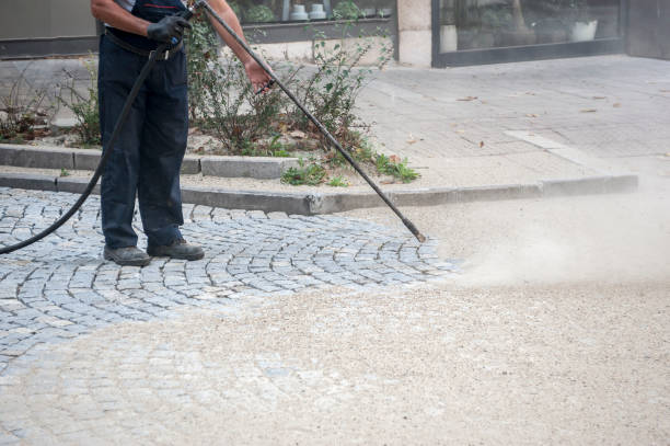 Best Pre-Holiday Cleaning  in Thorndale, TX